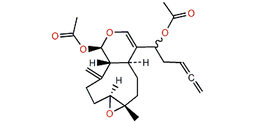 Acalycixeniolide E